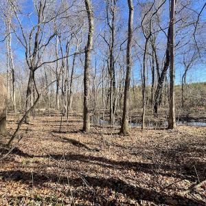 Photo #35 of SOLD property in Off Bunker Hill Road, Heathsville, VA 93.8 acres