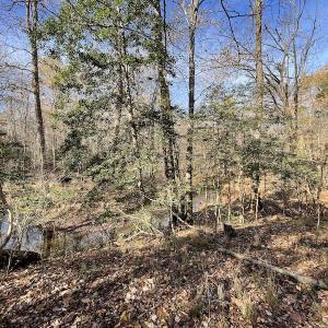 Photo #28 of SOLD property in Off Old Stage Highway, Smithfield, VA 11.4 acres
