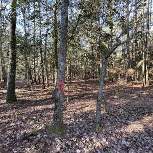 Photo #24 of SOLD property in Off Elmore Road, Painter, VA 30.5 acres