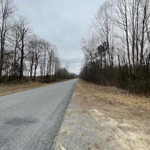 Photo #15 of SOLD property in Off Fortsville Rd, Drewryville, VA 74.0 acres