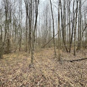 Photo #31 of SOLD property in Off Fortsville Rd, Drewryville, VA 74.0 acres