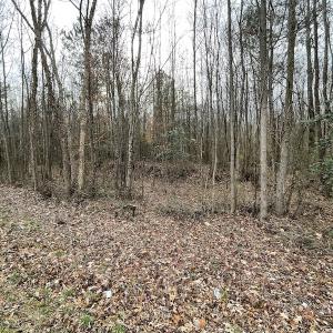 Photo #36 of SOLD property in Off Fortsville Rd, Drewryville, VA 74.0 acres