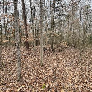 Photo #37 of SOLD property in Off Fortsville Rd, Drewryville, VA 74.0 acres