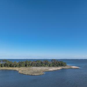 Photo #3 of SOLD property in Off Hog Quarter Road, Powells Point, NC 37.2 acres