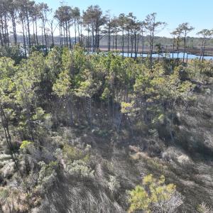 Photo #19 of SOLD property in Off Hog Quarter Road, Powells Point, NC 37.2 acres