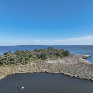 Photo #21 of SOLD property in Off Hog Quarter Road, Powells Point, NC 37.2 acres