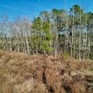 Photo #21 of SOLD property in 4345 Shiloh Rd, Watha, NC 75.0 acres