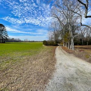 Photo #9 of SOLD property in Off Rolfe Hwy, Surry, VA 33.7 acres