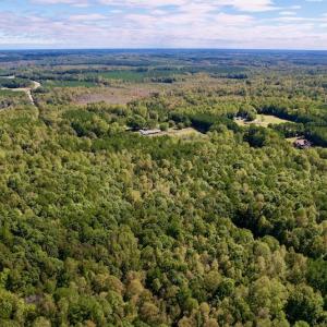 Photo #15 of SOLD property in Off Lunbar Court , Kittrell, NC 32.5 acres