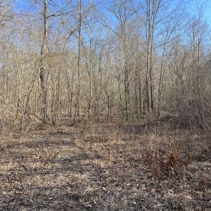 Photo #8 of SOLD property in Off Odell Littleton Road , Littleton , NC 200.0 acres