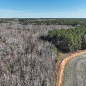 Photo #15 of SOLD property in Off Odell Littleton Road , Littleton , NC 200.0 acres