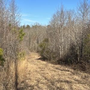 Photo #24 of SOLD property in Off Odell Littleton Road , Littleton , NC 200.0 acres