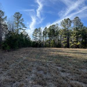 Photo #31 of SOLD property in Off Odell Littleton Road , Littleton , NC 200.0 acres
