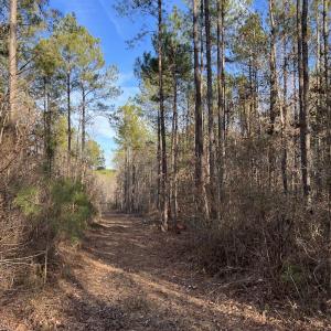 Photo #37 of SOLD property in Off Odell Littleton Road , Littleton , NC 200.0 acres