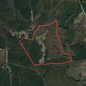 Photo #1 of SOLD property in Off Odell Littleton Road , Littleton , NC 200.0 acres