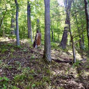 Photo #31 of SOLD property in 0ff Reservior View Dr, Pittsville, VA 5.0 acres