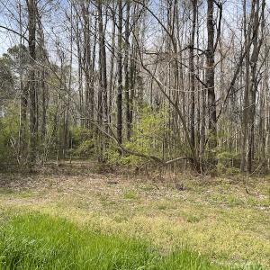 Photo #19 of SOLD property in 173 Paxton Lane, Edenton, NC 1.7 acres