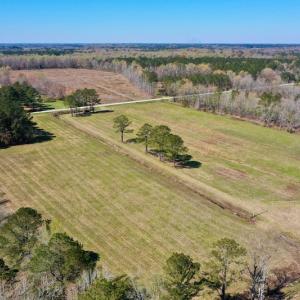 Photo #7 of SOLD property in 9105 Country Home Rd, Ayden, NC 23.0 acres