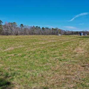 Photo #16 of SOLD property in 9105 Country Home Rd, Ayden, NC 23.0 acres