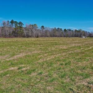 Photo #17 of SOLD property in 9105 Country Home Rd, Ayden, NC 23.0 acres