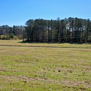 Photo #18 of SOLD property in 9105 Country Home Rd, Ayden, NC 23.0 acres