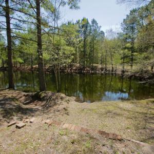 Photo #20 of SOLD property in 388 & 268 Promise Cove Rd, Elizabethtown, NC 40.0 acres