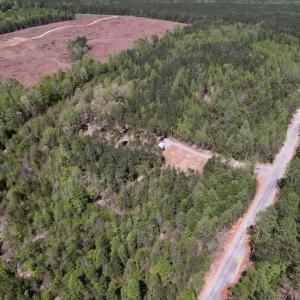 Photo #12 of SOLD property in 03 Beamon Hunt Road, Warrenton, NC 16.0 acres