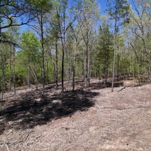 Photo #19 of SOLD property in 03 Beamon Hunt Road, Warrenton, NC 16.0 acres