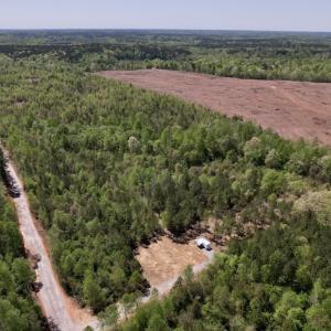 Photo #4 of SOLD property in 03 Beamon Hunt Road, Warrenton, NC 16.0 acres