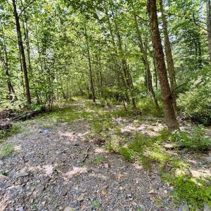 Photo #62 of SOLD property in 3598 Lower Fork Rd, Williamsville, VA 22.2 acres