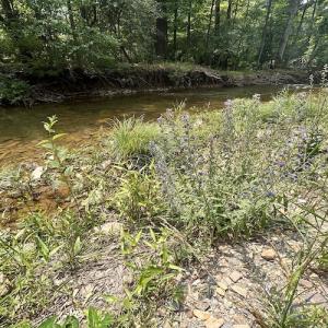 Photo #75 of SOLD property in 3598 Lower Fork Rd, Williamsville, VA 22.2 acres