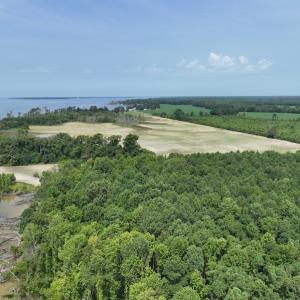 Photo #16 of SOLD property in Off New Hope Road, Hertford, NC 67.9 acres