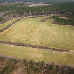 Photo #2 of 7245 General Mahone Hwy , Waverly, VA 62.0 acres