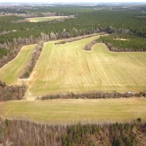 Photo #3 of 7245 General Mahone Hwy , Waverly, VA 62.0 acres