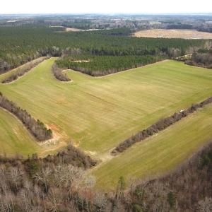 Photo #4 of 7245 General Mahone Hwy , Waverly, VA 62.0 acres