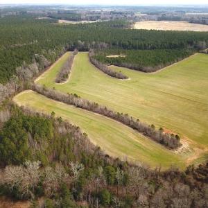 Photo #5 of 7245 General Mahone Hwy , Waverly, VA 62.0 acres