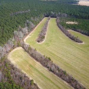 Photo #6 of 7245 General Mahone Hwy , Waverly, VA 62.0 acres