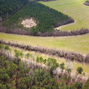 Photo #7 of 7245 General Mahone Hwy , Waverly, VA 62.0 acres