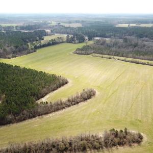 Photo #8 of 7245 General Mahone Hwy , Waverly, VA 62.0 acres