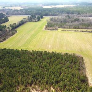 Photo #9 of 7245 General Mahone Hwy , Waverly, VA 62.0 acres