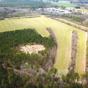 Photo #10 of 7245 General Mahone Hwy , Waverly, VA 62.0 acres