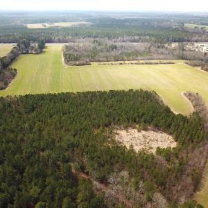 Photo #11 of 7245 General Mahone Hwy , Waverly, VA 62.0 acres