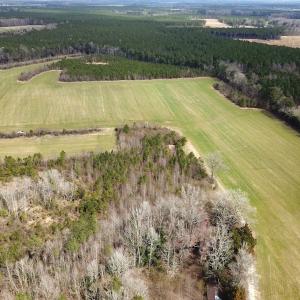 Photo #14 of 7245 General Mahone Hwy , Waverly, VA 62.0 acres