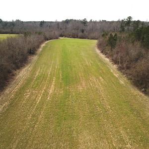 Photo #18 of 7245 General Mahone Hwy , Waverly, VA 62.0 acres