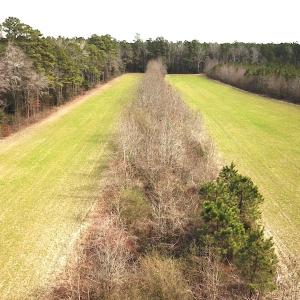 Photo #19 of 7245 General Mahone Hwy , Waverly, VA 62.0 acres