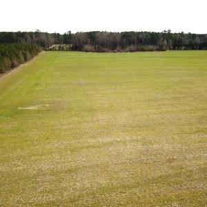 Photo #22 of 7245 General Mahone Hwy , Waverly, VA 62.0 acres