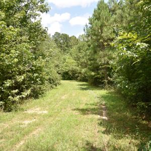 Photo #8 of SOLD property in Off River Town Rd, Yale, VA 90.0 acres