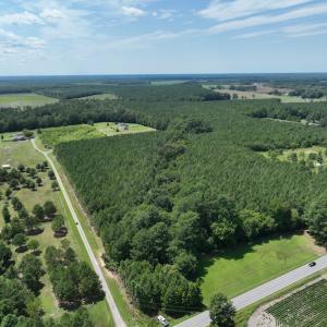 Photo #9 of SOLD property in Off NC HWY 32 N, Corapeake, NC 10.0 acres