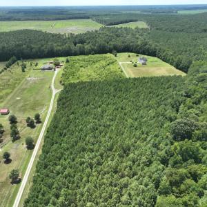 Photo #11 of SOLD property in Off NC HWY 32 N, Corapeake, NC 10.0 acres