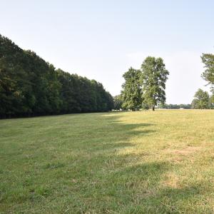 Photo #16 of SOLD property in Off Pope Station Rd, Capron, VA 70.0 acres